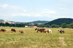 gite de groupe provence